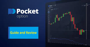 Полный гид по Pocket Option RU как начать зарабатывать на трейдинге