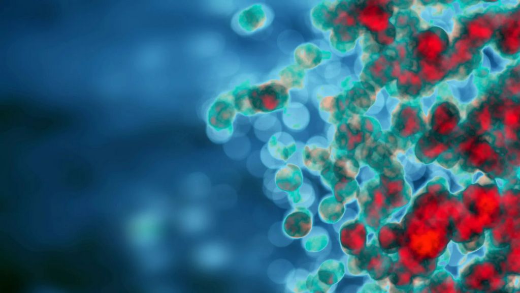 Finest Place to Acquire Steroids in Canada 2026 Finest Place to Acquire Steroids in Canada 2026